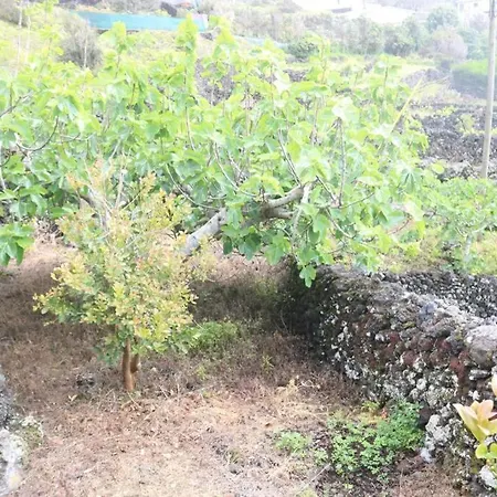 酒店 Goat Islands View 英雄港