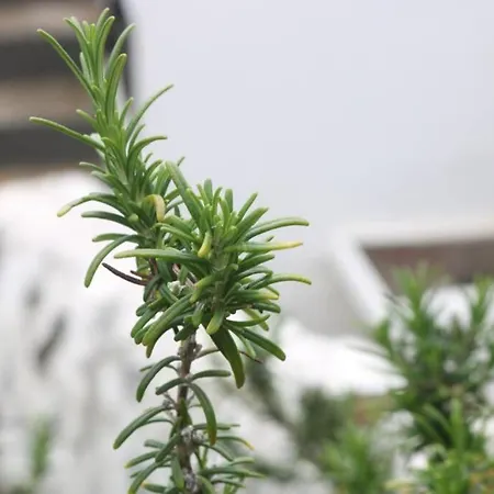 酒店 Goat Islands View 英雄港