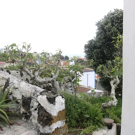 酒店 Goat Islands View 3*